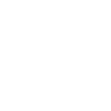 icons8-youtube-logo-100